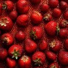 Transparent Backdrop of Fresh Produce