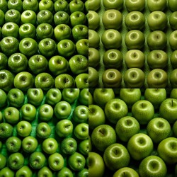 Transparent Backdrop of Fresh Produce