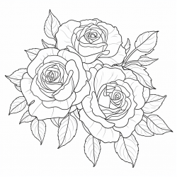 Midjourney Prompt for Beautiful Flowers Coloring Books