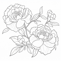 Midjourney Prompt for Beautiful Flowers Coloring Books