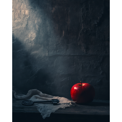 Midjourney Prompt for Echoes of the Past Still Life Photos