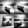 Serene Monochromatic Lake Scenes