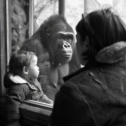 Realistic Black And White Photographs