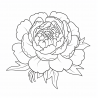 Simple Floral Coloring Books For All Ages