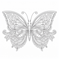 Adults Intricate Patterns Coloring Books