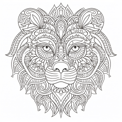 Adults Intricate Patterns Coloring Books