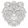 Adults Intricate Patterns Coloring Books