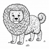 Fluffy Animals Coloring Books